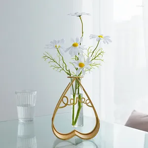 Vases Heart Flower Vase Transparent Glass Hydroponic Starlike Iron Wire Nordic Style Home Decoration Office Supplies