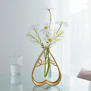 VASI VASO DI FLOWER VASE TRASPARENT COMMERCHI INDROPONICO INDOPIALE STARLO STHILE NORDICA DEGORE DECORAZIONI DELL'UFFICIE