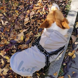 Abbigliamento per cani inverno pet con cappuccio senza maniche regolabile cinghia riflettente giletcoat file ispessato fodera giubbotto cappotto cani da cappotto