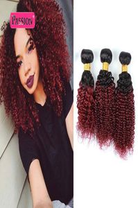 Top Quality 3 Bundles Burgundy Brazilian Ombre Hair Extensions Two Tone Red Ombre Kinky Curly Brazilian Unprocessed Virgin Human H8911288