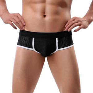 Underbyxor boxare underkläder män mjuk penispåse fasta shorts sexig bomulls andningsboxare ropa interiör hombre cueca