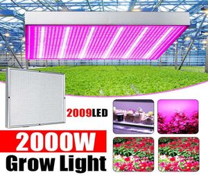 2000W 2009 LED LED GROW LAMBA Tam Spektrum LED Bitki Büyüme Lambası Kapalı Aydınlatma Işık Bitki Hidroponik Sistemi Box6310879