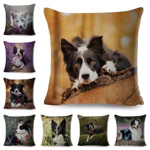 Poduszka Scotland Border Contrie Decor Pet Animal Dog Print Cute Cover for Sofa Home Polyester Pillowcase 45