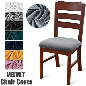 Chair Covers Soft Velvet Seat Cover Solid Color Elastic Armchair Protector Spandex Cushion For Home Dining Room