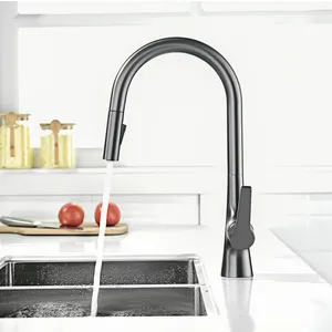 Kitchen Faucets Gun Grey Faucet Simple Two-way Pull Out Design Single Handle And Cold Dual Control Sink Black Brass