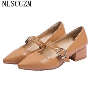 Casual Shoes Oxford For Women Mary Jane Harajuku Ladies HEADT Office 2024 Chunky Heels Zapatos de Mujer