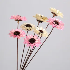 Fiori decorativi 5pcs/mazzo olandese Chrysanthemum mobili per casa secchi naturali oggetti d'arte