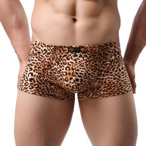 Majaki Męskie bieliznę Knickers 2024 Bokser Leopard-Print Sexy Low Pary Absorbing Flat-Angle Boksershorts