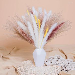 Fiori decorativi 50pcs nordic soffici pampas grasso secco fiore grattugiatura per matrimoni domestici per matrimoni da giardino da giardino per esterni accessori