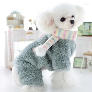 Abbigliamento per cani piccole tute da centesimi addensato vestiti caldi per pet outfit inverno giacca pomerania bichon costume da bichon