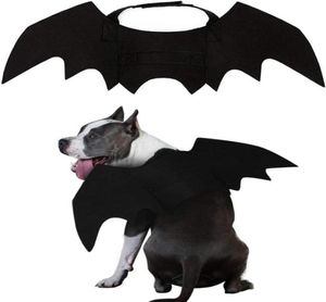 Psa odzież Pet Cat Bat Wings Halloween Cosplay Bats Costume Pets Ubrania dla kotów Kittak Puppy Małe średnie duże psy A975184367