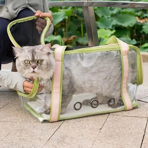 Kattbärare transparent väska ut bärbar en-axel stor rymddjur
