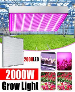 2000W 2009 LED LED GROW LAMBA Tam Spektrum LED Bitki Büyüme Lambası İç Mekan Aydınlatma Işık Bitki Hidroponik Sistemi Box3756969