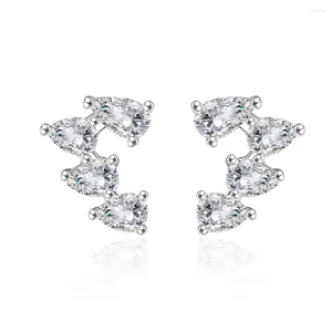 Stud Earrings Models Water Drop Diamond Women's S925 Pure Silver Ear Jewelry European And American Foreign Trade