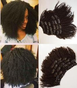 3c4a4b Peruvian Clipins Hair Extensions 8quot22quot instock100 Virgin Human Hair Clipins Hair WeftsNatural Clipins We7770921