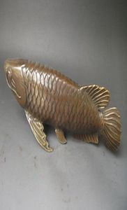 Kolekcja refelekska chińska stara brązowa statua Arowana 28x8 CM9711279