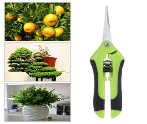 Gartenwerkzeuge Secateurs Bonsai Schere Metallgarten Schere Schnittwerkzeug Handschneider Traube Obst pflücken Haushalt Topf 2468765056