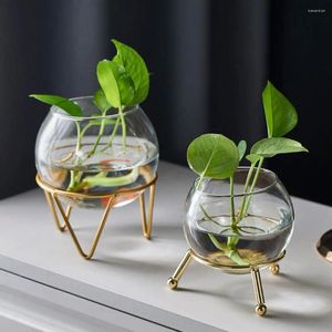 Vases Ornaments Home Decoration Iron Art Spherical Shape Hydroponic Vase Flower Arrangement Glass Plant Pot