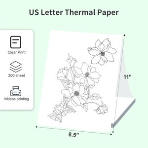Papel de impressão de fã de papel térmico A4 para impressora térmica L81/ A81/ A80 Compatível com Peripage A40 210x297mm (