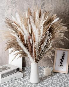 80st Natural Dried Flowers Pampa Grass Bouquet Boho Home Decor Phragmiteswedding Ramadan Decoration Mariage Flores Secas7655414