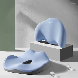 Yastık Yemek Sandalyesi Ofis Koruyucu Yuvarlak Zarif Oturma Odası Ev Dekorasyonları Modern Minimalist Cojines Decors Estetik