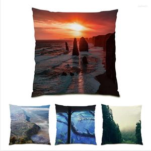 Pillow Pillowcases Velvet Home Decor Sofas Chair Living Room Nature Landscape Polyester Linen Beautiful Covers Decorative E0997