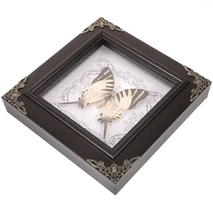 Ramar Prov Butterfly Po Frame Office Picture Real Taxidermy Akrylhänge