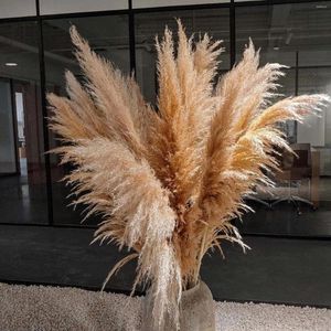 Decorative Flowers 47" Inch 10pcs Natural Pampas Grass Tall Decor - Dried Large Pompas Boho Home Room Floor Vase Wedding Arrangement