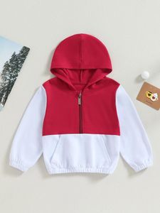 Ceketler Çocuklar Toddler Kız Kış Kapüşonlu Sweatshirt Ceket Renkli Kontrast Ön Cep ve Fermuar Kapatma