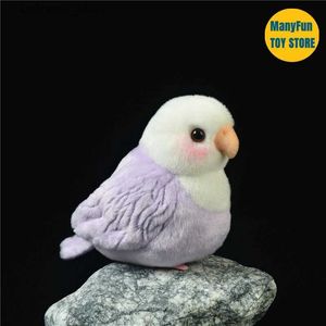 Fyllda plyschdjur Lovebird Parrot High Fidelity Peony Parrot Plushie Budgerigar Budgie Plush Toys Livlägsna djur Simulering fylld dollleksak L47