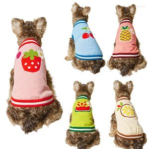 Vestuário para cães que vendem séries de frutas Strawberry Watermelon Cherry Pineapple Sweater Pet Knit