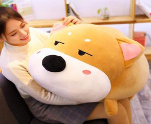 Sevimli Shiba Inu Bebek Yağ Köpek Yumuşak Oyuncak Dev Karikatür Corgi Köpek Chilend için Uyku Yastığı 39inch 100cm DY50806578720