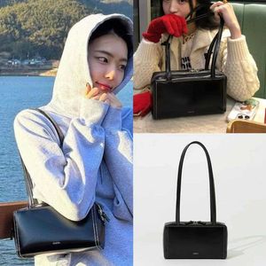 Korean Fever Same Standoil Single Shoulder Underarm Bag Genuine Boston Bag Stand Oil Earphone Bag for Women 240415