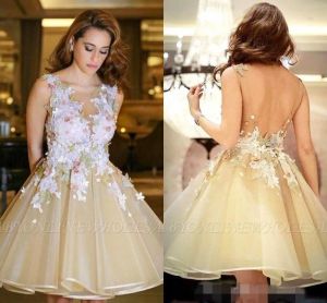 2024 New Champagne Homecoming Dresses Lace Floral Applique A Line Backless Sheer Neck Custom Made Gradutaion Party Prom Gown