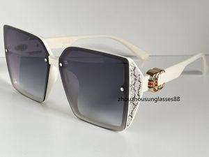 Óculos de sol Luxury Classic Attitude Sunglasses For Men Mulheres quadradas moldura 0260 óculos de sol UV400 Proteção Eyewear vem com Box2314