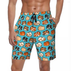 Shorts Shorts Summer Gym Man Guinea Pig Stampa sportiva Sport Sports Animal Board Pants Shorh Stylish Switch Swimming Trunks Plus size