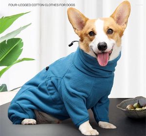 Hundkläder fleece jumpsuit vinterkläder för stora hundar valp kostymer turkos outfit lyx manlig kvinna