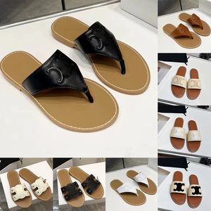 Designer tofflor triomfer sandaler för kvinnors damer mode luxe claquette sandale 2024 kvinnliga rum utomhus glider sommar strandskor cellne mulor