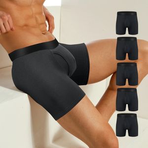 5 упаковки Mens Boxer Briefs Хлопок без езды на обычной эластичной эластичной широкой полосе 240412