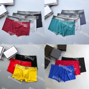 High Quality Mens Boxers Designer Modal Breathable Underpants Brand Letter Printed Underwear