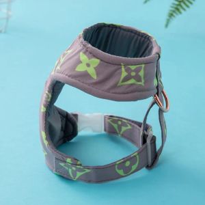 Neue Luxus -Haustierstruhe und Rücken Leine Hunde Leine Collar Out Walking Dog Katzde Designer Mode Haustiere für kleine Hunde Chihuahua Schnauzer Großhandel im Freien im Freien