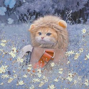 Kedi Kostümleri Komik Evcil Hayvanlar Cap Lion Wig Fantezi Kostüm Köpek Cosplay Sevimli Giysiler Şapka Kulakları Köpek Yukarı Kitten Pet Partisi Elbise Accessorie W0H7