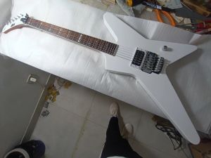 Gitara Egzotyczna elektryczna sygnatura gitary Floyd Rose Tremolo System Guitar Bitarnable