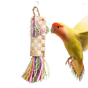 Andere Vogelversorgungen Kaut Spielzeug kauen Käfig Shredding für Chinchillas Meerschweinchen natürliche Palmwedel hängen orale Pflege