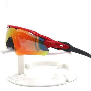 Sonnenbrille Sport im Freien Fahrrad -Sonnenbrillen Windschutz UV400 Polarisierungsgläser MTB Herren und Damen Elektrofahrrad Reitaugenschutz #9465 #9208