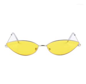 Gudzws Vintage Cat Eye Sunglasses Small Metal Frame Super Lightweight for women men unisex11094089