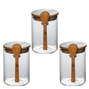 Bottiglie di stoccaggio 3 pezzi di vetro Viatti sigillati Contenitori cucine Coperchio di frutta secca Sugar Tea Coffee con cucchiaio (