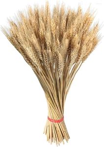 Decorative Flowers Dried Wheat Stalks Sheaves Bundle - Grass Golden Natural Bouquet Bunch Artificial For DIY