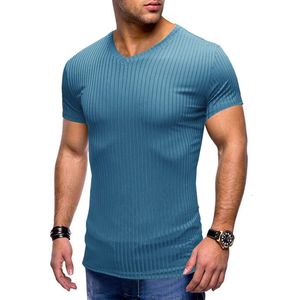 Summer Men's Sports and Fitness Short Sleeved T-shirt, Men's Slim Fit V-neck Knitted Shirt Top