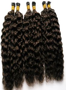 Werksfabrik Ganzes versauter lockiges Haar Italienisch Keratin Fusion Stick I Tipp vorgebundenes menschliches Haar Erweiterungen 100g Afro Kinky Curly Hair 2409549